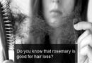 Do you know that rosemary is good for hair loss?